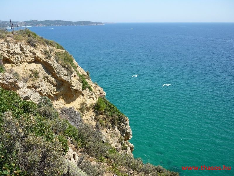 balazsh 2011